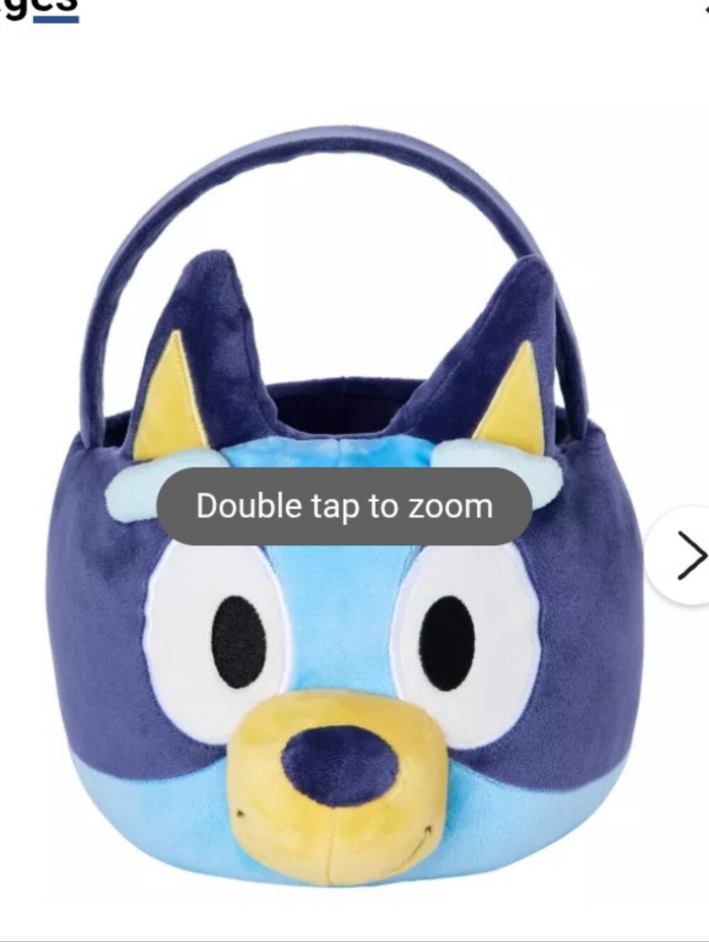 Bluey Treat Bucket